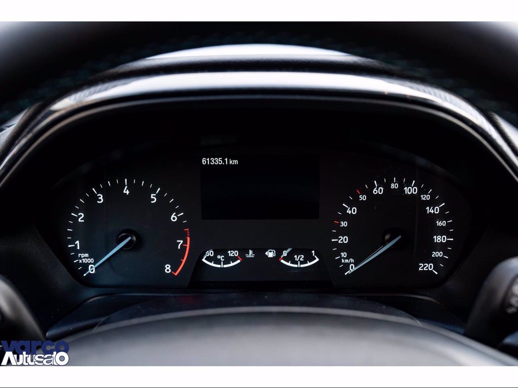 FORD Fiesta active 1.0 ecoboost h 125cv