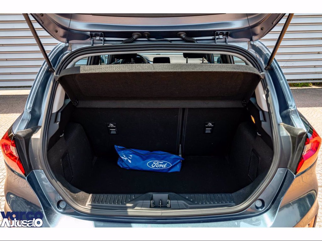 FORD Fiesta 5p 1.0 ecoboost h titanium 125cv